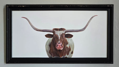 Texas Longhorn