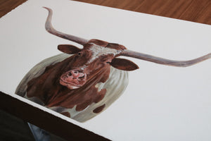Texas Longhorn