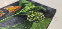 Load image into Gallery viewer, Monarch and Milkweed