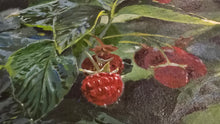 Load image into Gallery viewer, Raspberry Patch