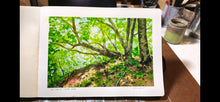 Load image into Gallery viewer, St. Croix Bluff State Park