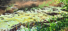 Load image into Gallery viewer, Coon Creek