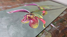 Load image into Gallery viewer, Lady Slippers