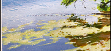 Load image into Gallery viewer, Long Lake
