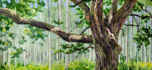 Load image into Gallery viewer, Montessippi State Park