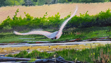Load image into Gallery viewer, Sherburne Wildlife Preserve