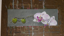 Load image into Gallery viewer, Orchid
