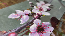 Load image into Gallery viewer, Red Crabapple blossoms
