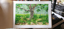 Load image into Gallery viewer, Montessippi State Park