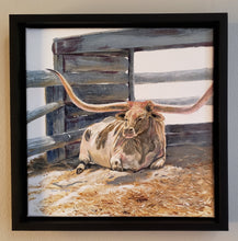 Load image into Gallery viewer, Texas Longhorn 2