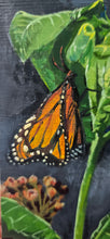 Load image into Gallery viewer, Monarch and Milkweed