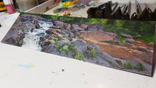 Load image into Gallery viewer, Central Park Runoff