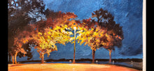 Load image into Gallery viewer, Night at Big Lake