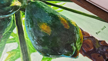 Load image into Gallery viewer, Papaya Tree