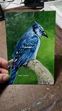 Load image into Gallery viewer, Blue Jay