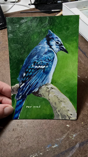 Blue Jay