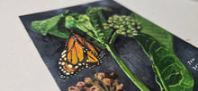 Load image into Gallery viewer, Monarch and Milkweed