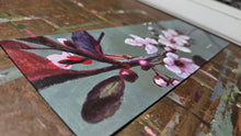 Load image into Gallery viewer, Red Crabapple blossoms