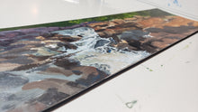 Load image into Gallery viewer, Central Park Runoff