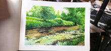 Load image into Gallery viewer, Coon Creek