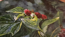 Load image into Gallery viewer, Raspberry Patch