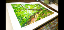 Load image into Gallery viewer, St. Croix Bluff State Park