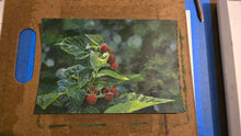 Load image into Gallery viewer, Raspberry Patch
