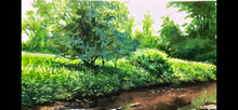 Load image into Gallery viewer, Coon Creek