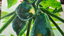 Load image into Gallery viewer, Papaya Tree