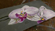 Load image into Gallery viewer, Orchid