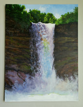 Load image into Gallery viewer, Dragon at Minnehaha Falls