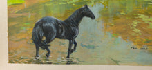 Load image into Gallery viewer, Black Beauty